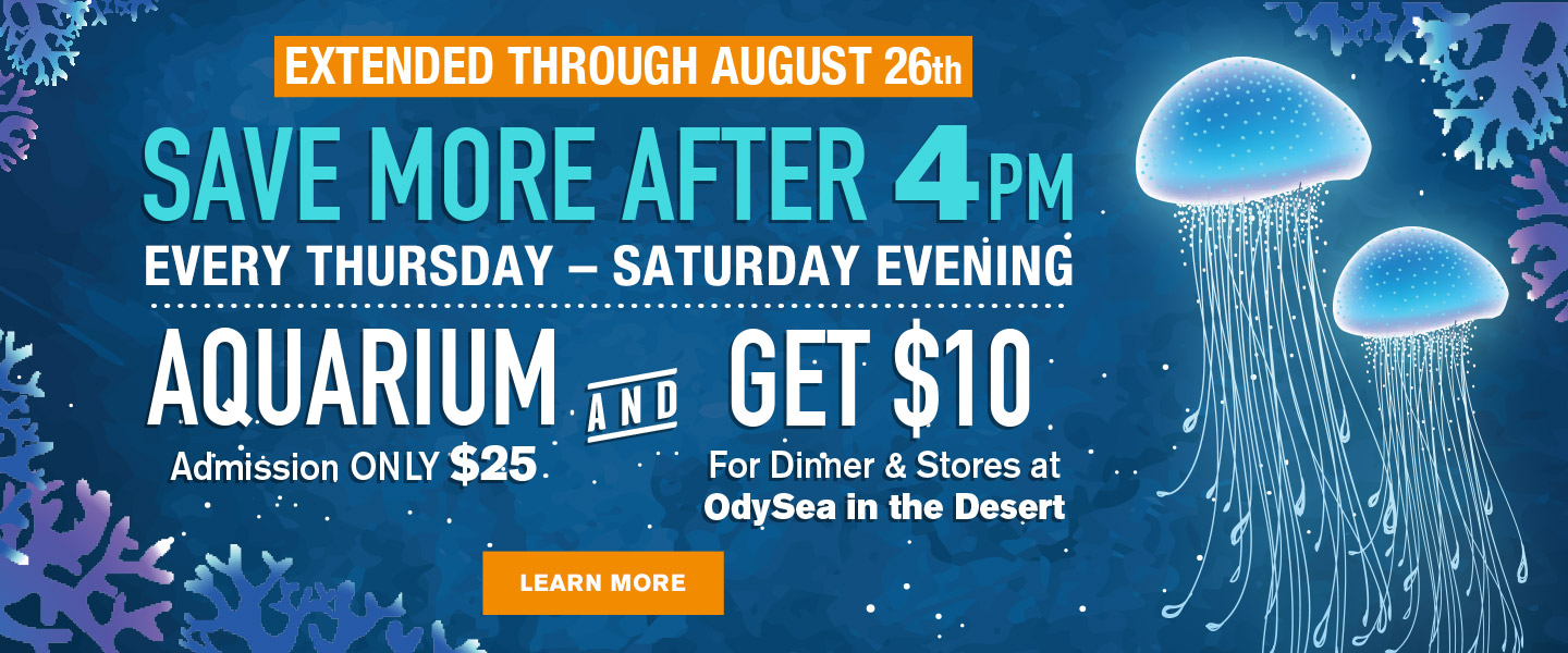 OdySea Aquarium in Scottsdale, AZ - America's Newest Aquarium