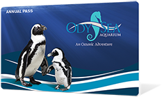 OdySea Aquarium annual pass