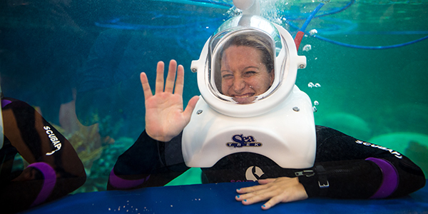 OdySea Opening Photography Wednesday, September 7, 2016. Opening photography for OdySea Aquarium.