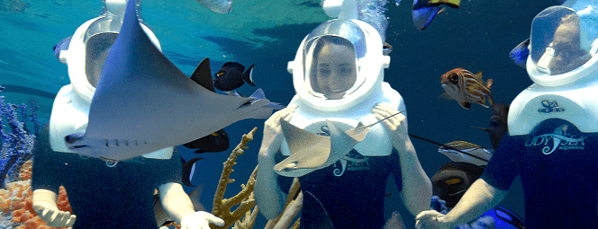 SeaTrek Underwater Helmet Diving