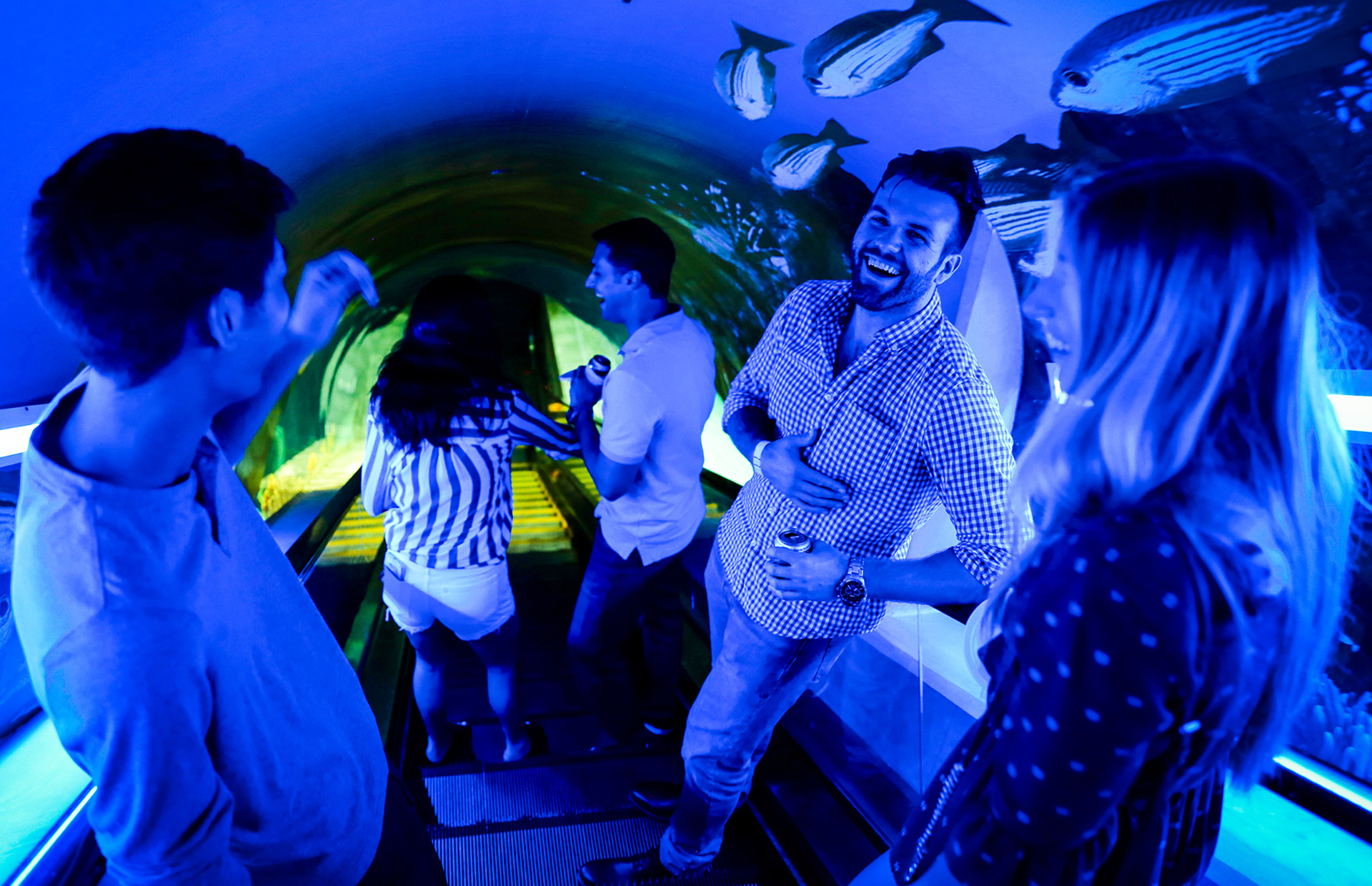 Odysea Aquarium Events