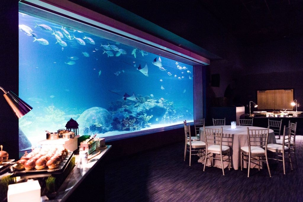 Deep Ocean Picture - under the note of add better deep ocean photo Deep Ocean Picture - under the note of add better deep ocean photo