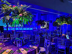2Upscale-Deep-Ocean-Theatre