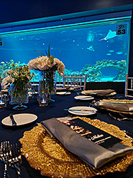 3Ocean-View