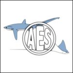 AES Logo