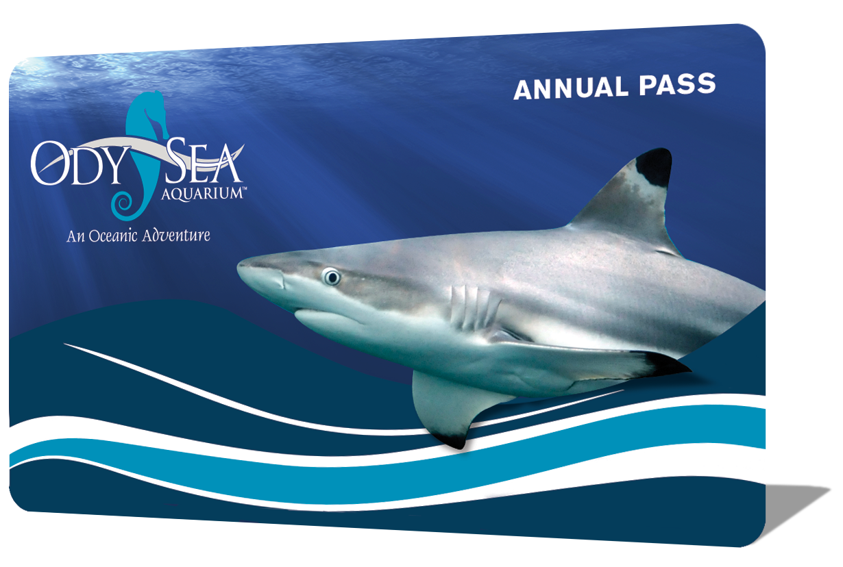 OdySea Aquarium annual passes