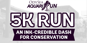 Aquari-Run-OA Promo Navigation Header_350x175