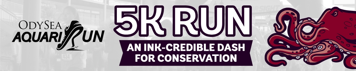 Aquaria-Run-OA Promo Header_1240x250