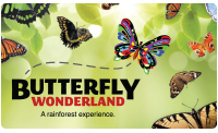 BW-holidaylandingpage-ap
