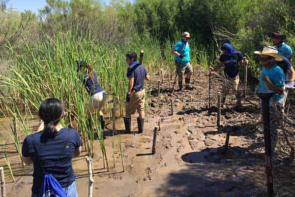 Earth Day Planting Trees