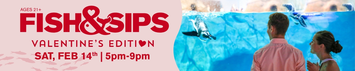 Fish & Sips - Navigation Image_1240x250 – 11