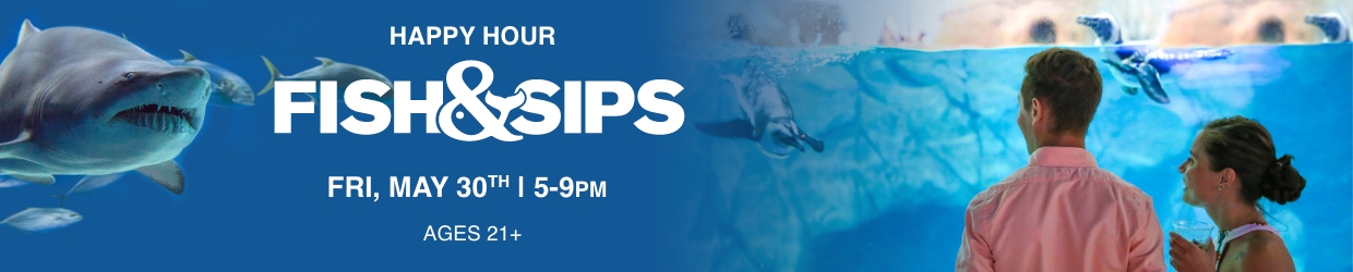 Fish & Sips - Navigation Image_1240x250 – 3 Fish & Sips - Navigation Image_1240x250 – 3