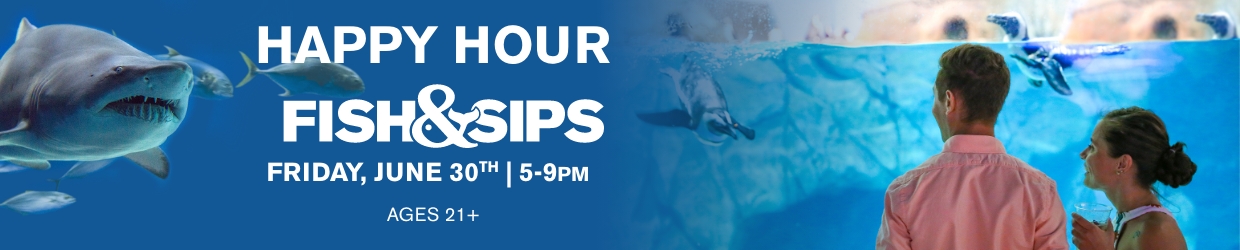 Fish & Sips - Navigation Image_1240x250 – 4 Fish & Sips - Navigation Image_1240x250 – 4