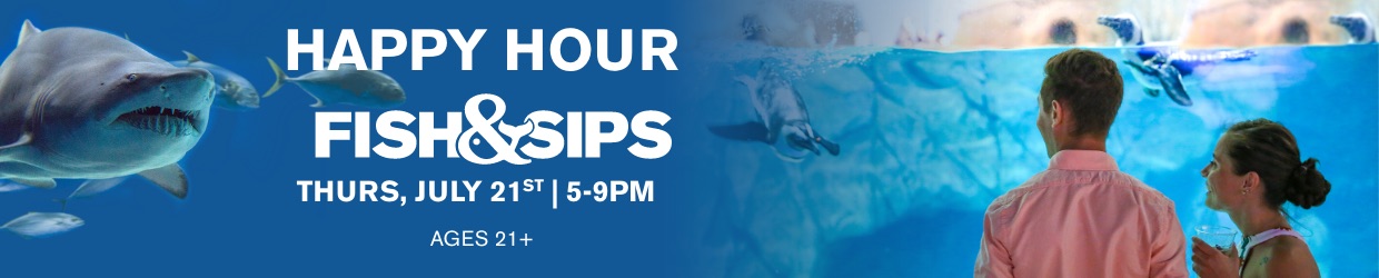 Fish & Sips - Navigation Image_1240x250 – 5 Fish & Sips - Navigation Image_1240x250 – 5