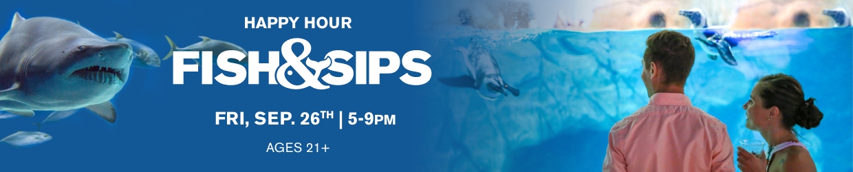 Fish & Sips - Navigation Image_1240x250 – 7 Fish & Sips - Navigation Image_1240x250 – 7