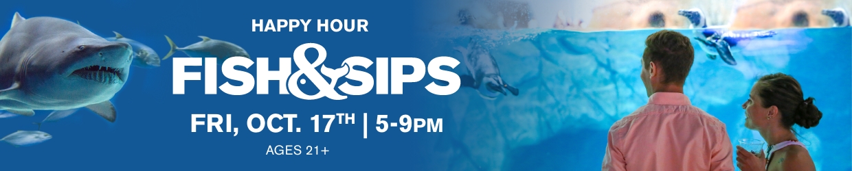Fish & Sips - Navigation Image_1240x250 – 8 (1)