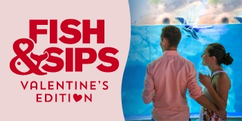 Fish & Sips - Navigation Image_350x175 – 11