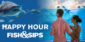 Fish & Sips - Navigation Image_350x175 – 2
