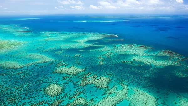 Great Barrier Reef Aerial View
