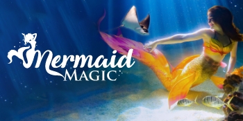 Mermaid Magic_ OA Prom Navigation_350x175