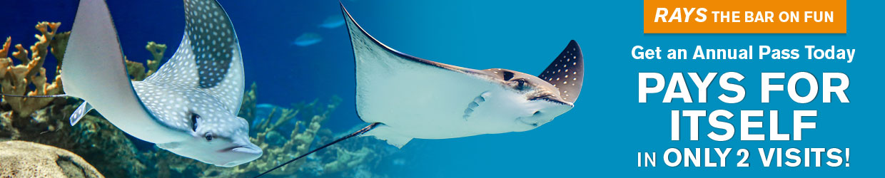 OA-AP-PromoPageHeader-2