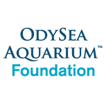 OA-Foundation