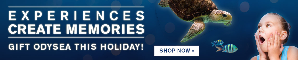 OA-GiftGiving-PromoHeader