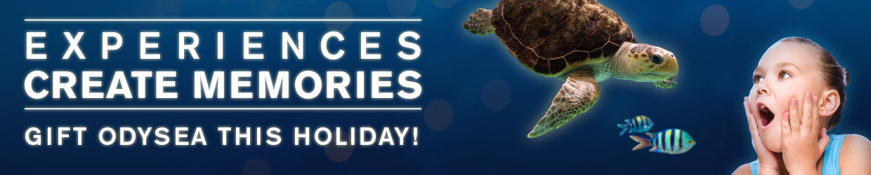 OA-GiftGiving-PromoHeader