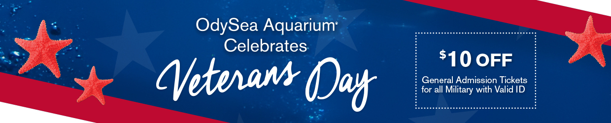 OA-Web-PromoHeader_VeteransDay (1) copy