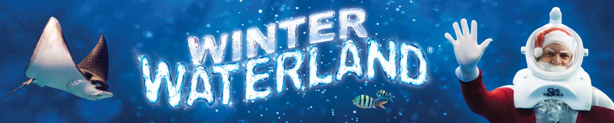 OA-WinterWaterland-PromoHeader-2020 OA-WinterWaterland-PromoHeader-2020