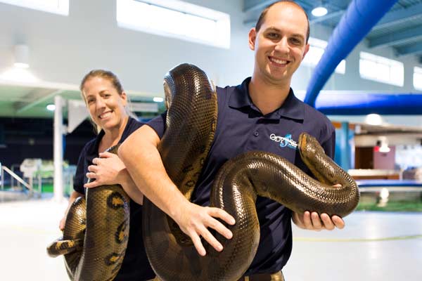 Team Members Holding Green Boa Constrictor