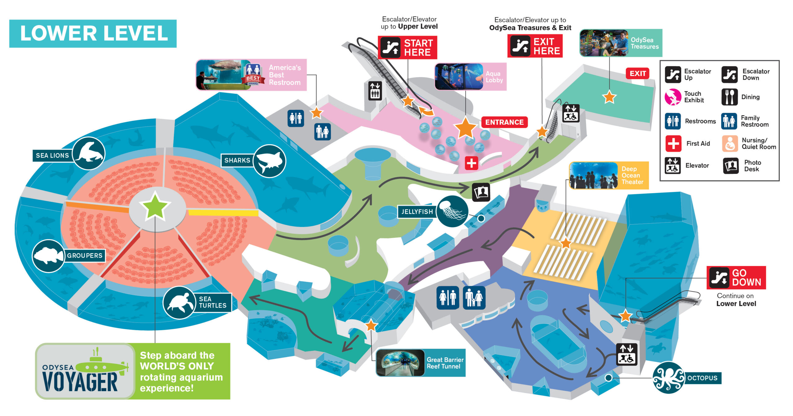 OA_Visitor-Map_Jan2026-02