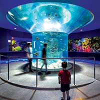 dallas aquarium school field trips