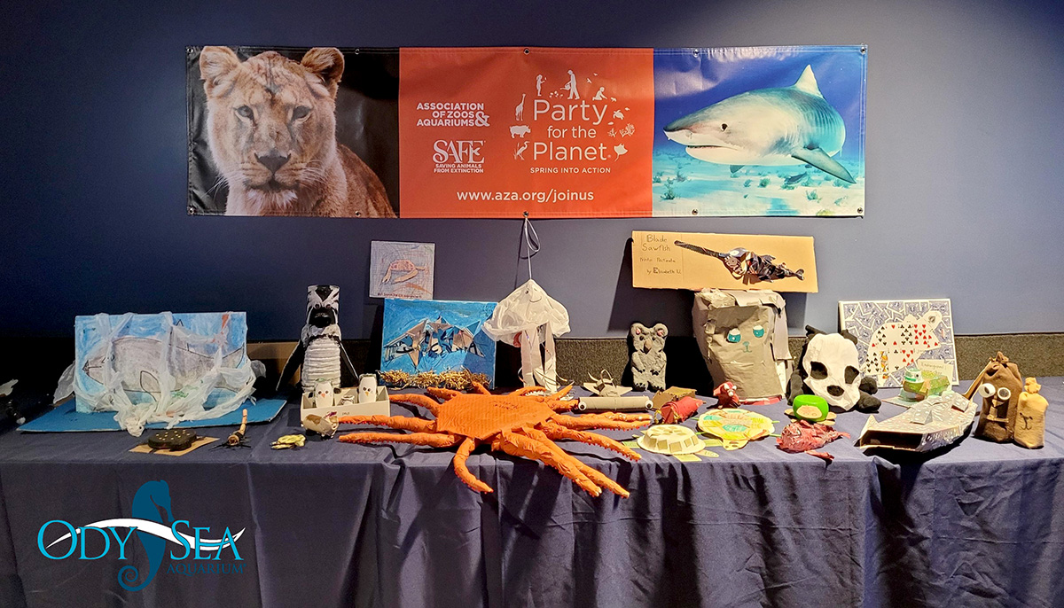 OdySea-Aquarium.-Conservation-Crafts-1 OdySea-Aquarium.-Conservation-Crafts-1