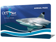 Annual Pass