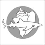 Shark Shell Logo