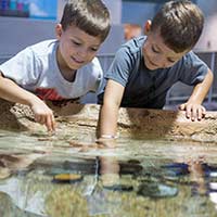 dallas aquarium school field trips