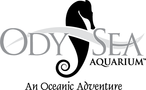 Odysea Aquarium Logo