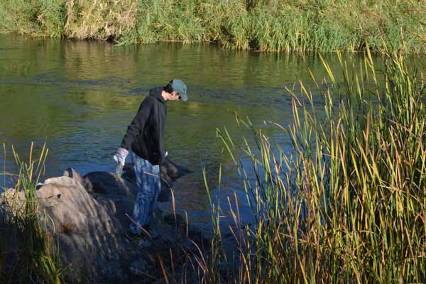 Salt River Clean Up Shoreline