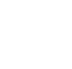 Sloth Encounter
